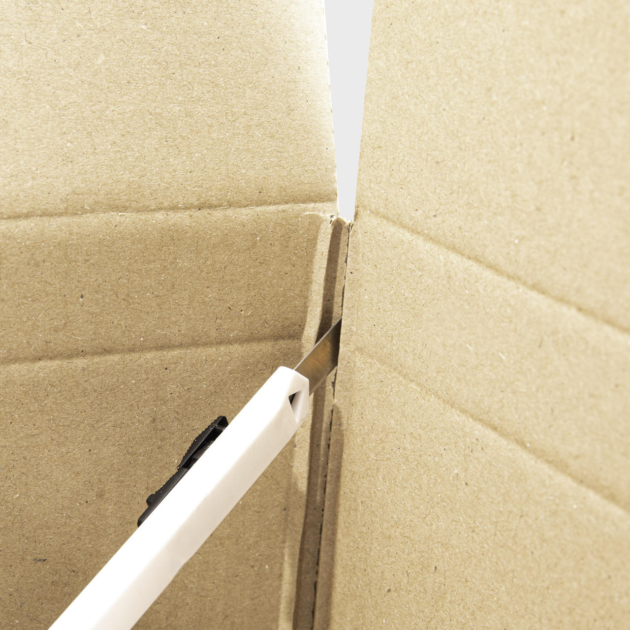 12 500ml can Pulpsafe shipping box - Image 4