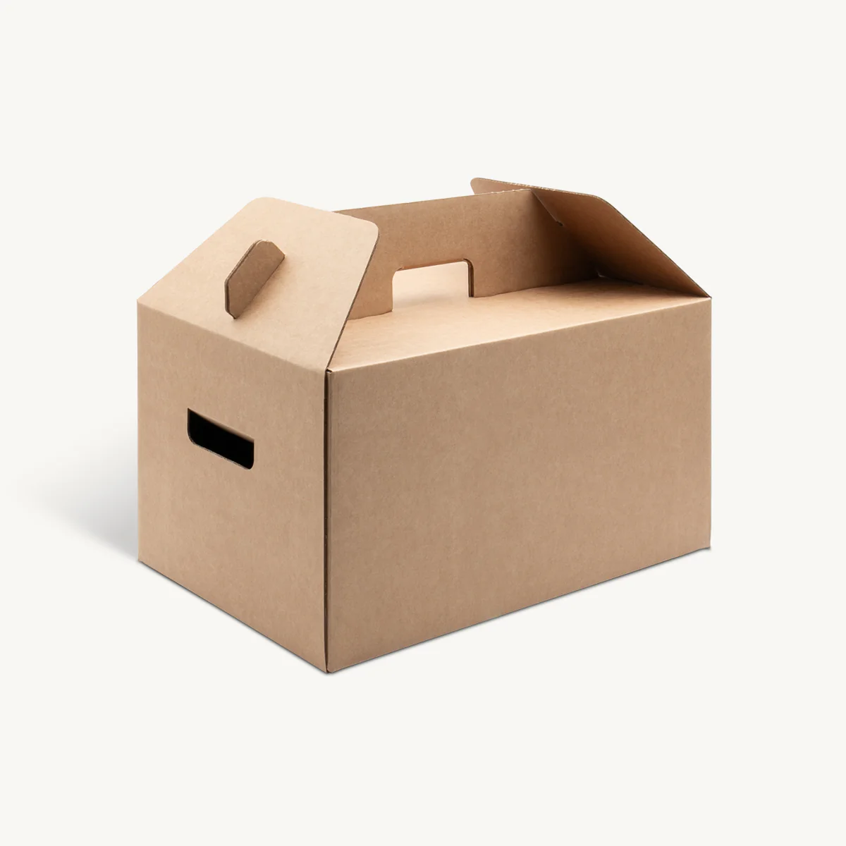 Medium Turkey Box 12kg 385mm - Image 4