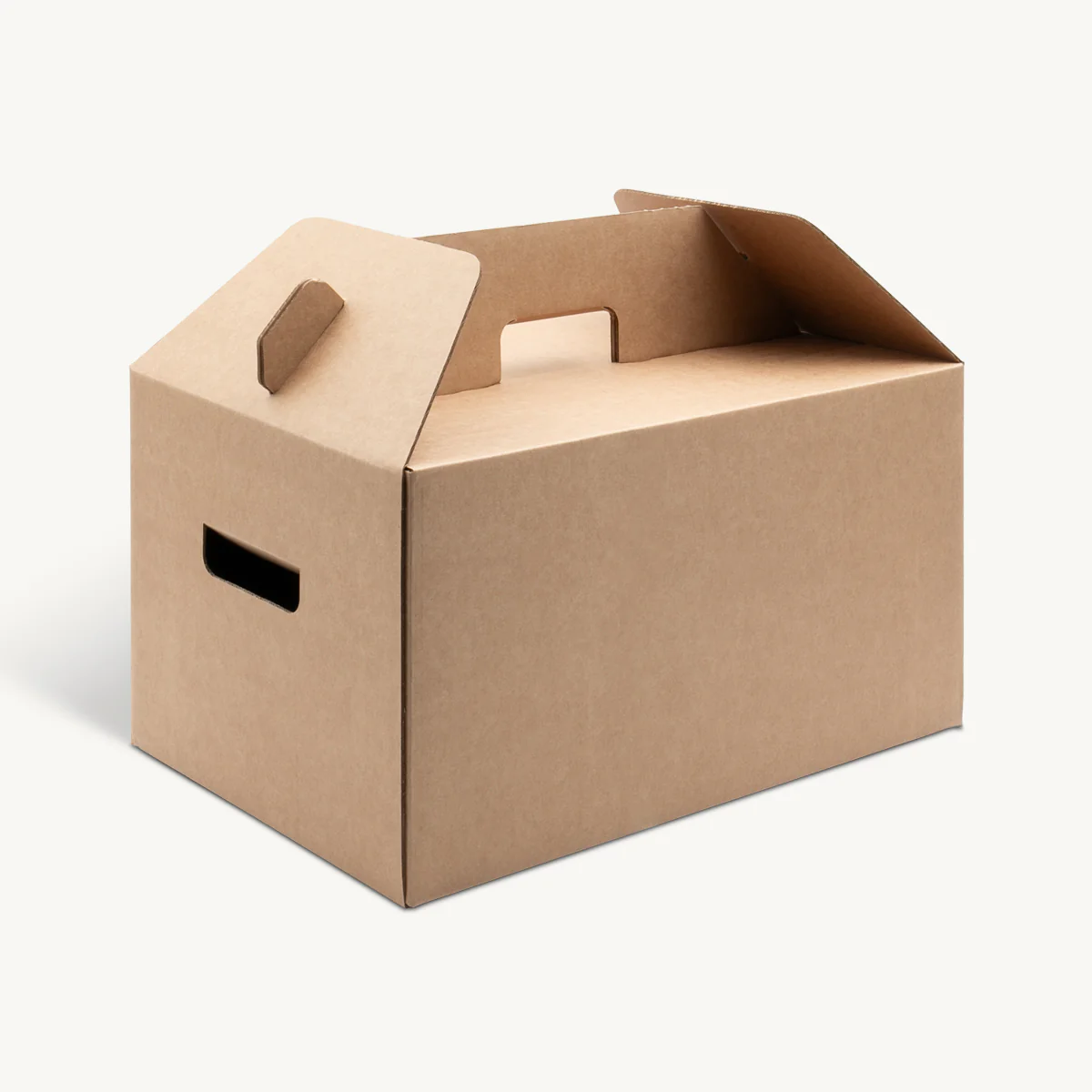 Large Turkey Box 20kg 410mm - Image 3