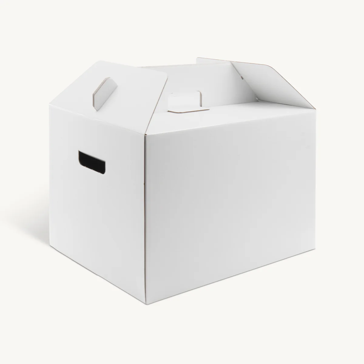 Large Turkey Box 20kg 410mm - Image 4