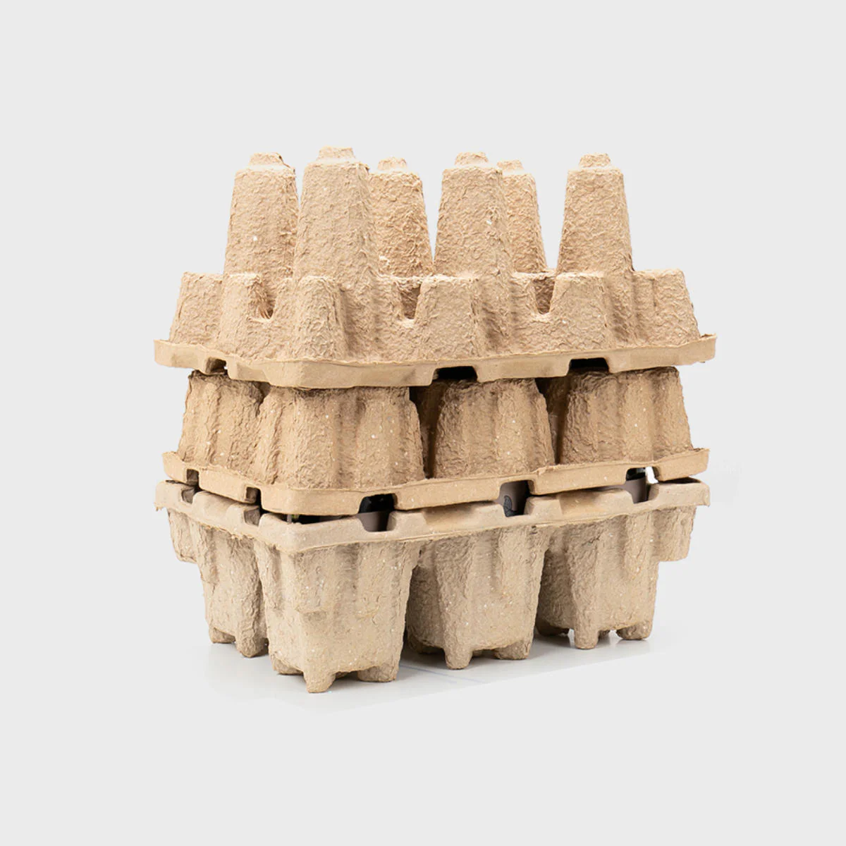 6 bottle Pulpsafe protective insert only